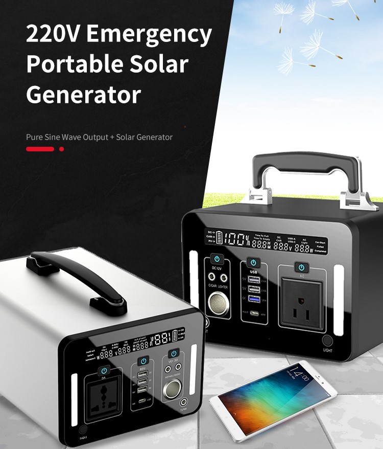 générateur solaire portable d'urgence baleineflo