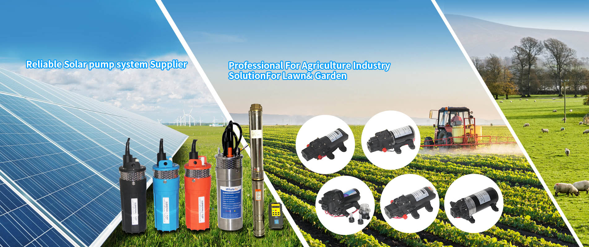 solar pump system Supplier& Agriculture lawn pumps