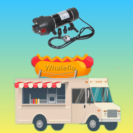 Système d'eau de plomberie Whaleflo Food Truck
