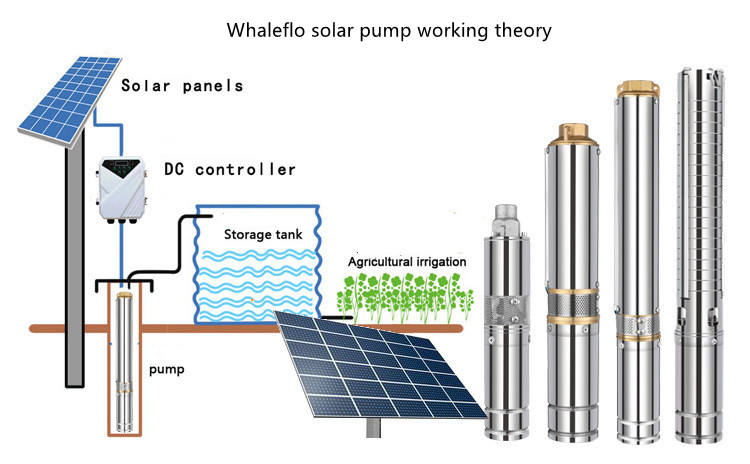 Nouvelle pompe solaire Whaleflo avec contrôleur MPPT
